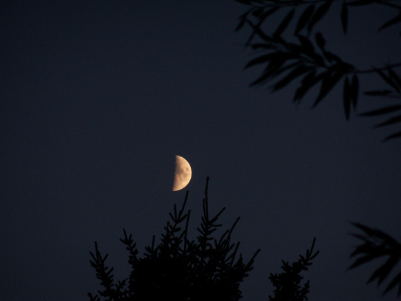 Moon, 9/14/2010