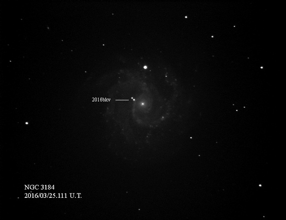 Supernova 2016bkv in NGC 3184