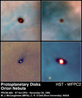 Protoplanetary Discs in the Orion Nebula