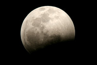Total Lunar Eclipse from Florida, December 21, 2010