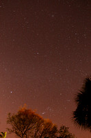 Geminid Meteor Shower from Florida