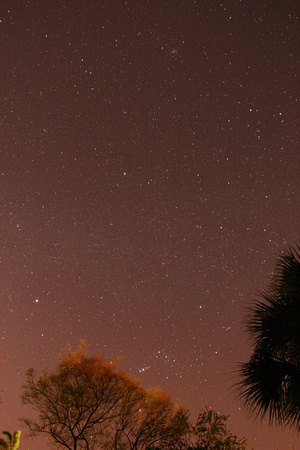 Geminid Meteor Shower from Florida