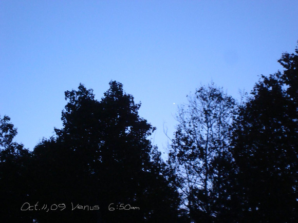 Venus October 2009